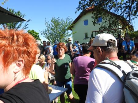 Pomlad v prleških goricah 2017 42